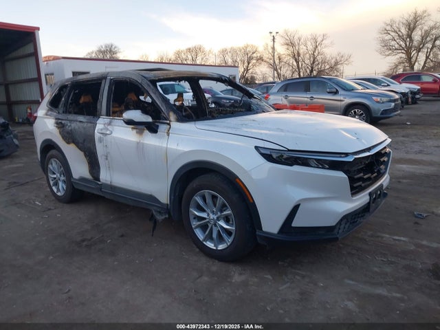 Honda Cr-v Ex-l Awd 2024 7FARS4H78RE012622 main image