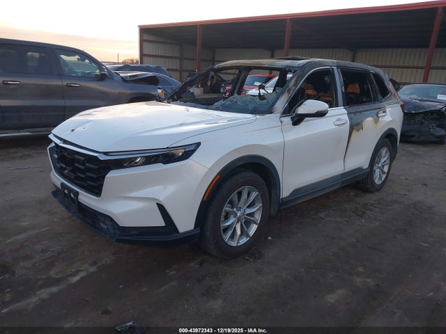 Honda Cr-v Ex-l Awd 2024 7FARS4H78RE012622 Image 2