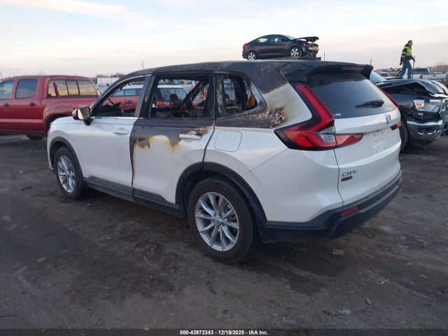 Honda Cr-v Ex-l Awd 2024 7FARS4H78RE012622 Image 3