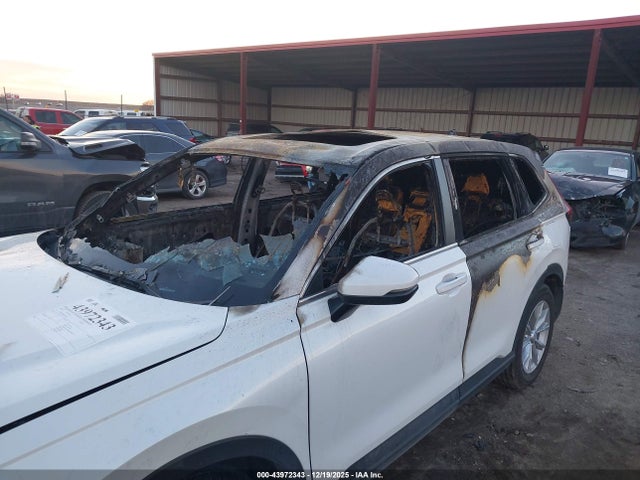 Honda Cr-v Ex-l Awd 2024 7FARS4H78RE012622 Image 6