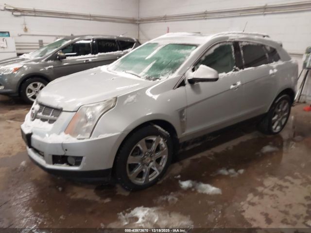 2010 CADILLAC SRX 3GYFNFEYXAS508607 Photo 1
