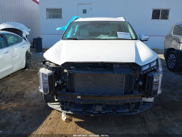 KM8R7DGE6PU611967 Hyundai Palisade Calligraphy
