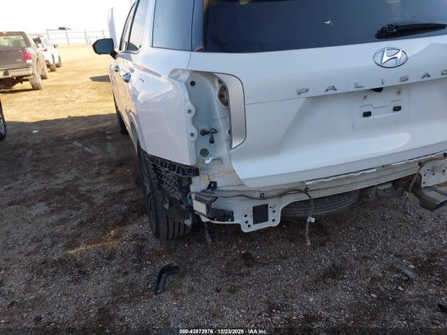 KM8R7DGE6PU611967 Hyundai Palisade Calligraphy