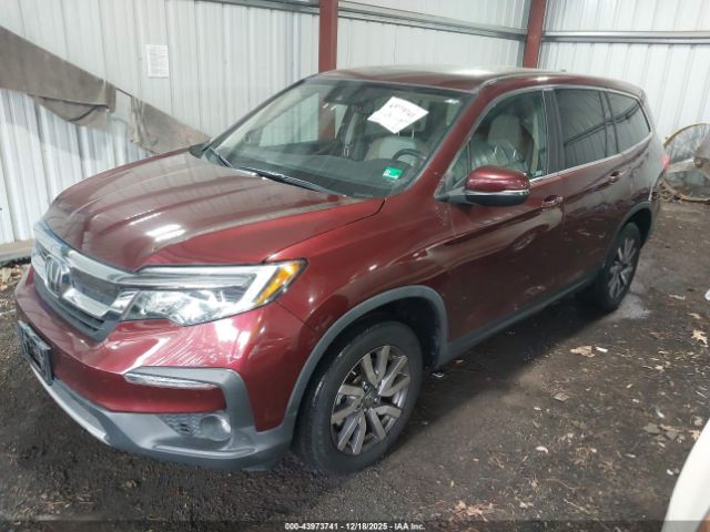 2021 HONDA PILOT 5FNYF6H5XMB024124 Photo 1