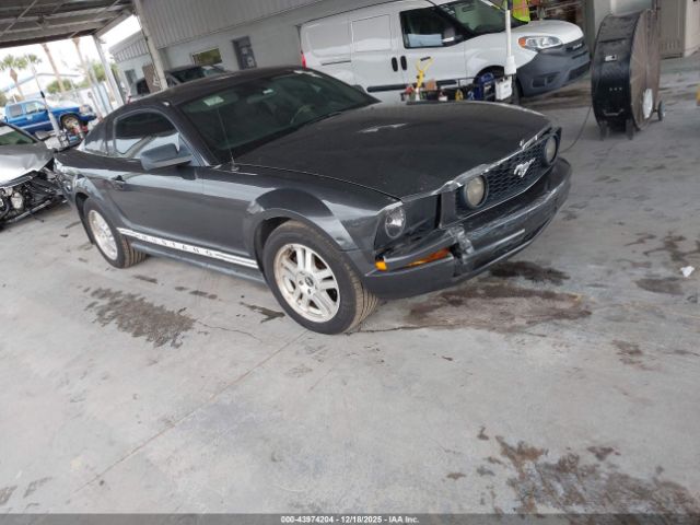 2007 FORD MUSTANG 1ZVHT80NX75320585