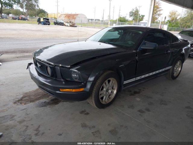 2007 FORD MUSTANG 1ZVHT80NX75320585 Photo 1