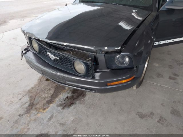 2007 FORD MUSTANG 1ZVHT80NX75320585 Photo 5