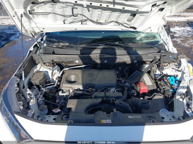 2T3P1RFV0KC053445 Toyota Rav4 Xle
