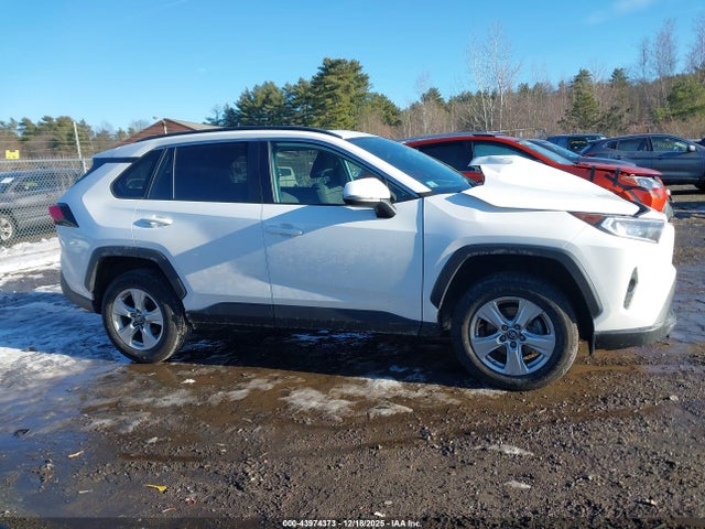 2T3P1RFV0KC053445 Toyota Rav4 Xle