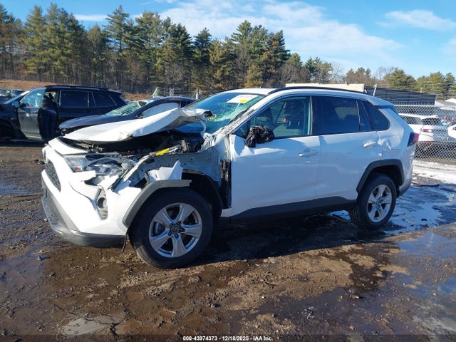 2T3P1RFV0KC053445 Toyota Rav4 Xle