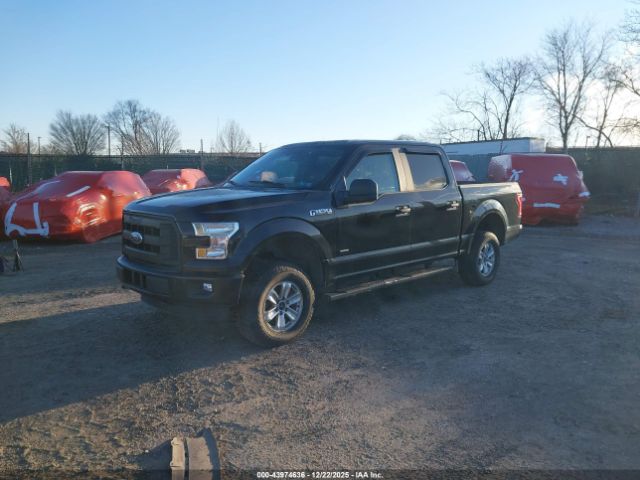 2016 FORD F-150 1FTEW1EP8GFA49261 Photo 1