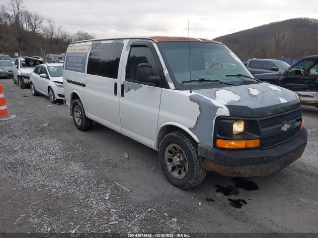 2010 CHEVROLET EXPRESS 1500 1GCUGADX3A1107131