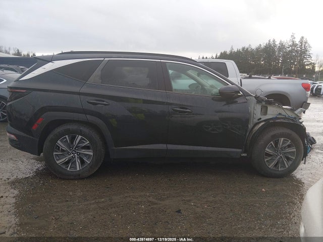 Hyundai Tucson Hybrid Blue 2022 KM8JBCA15NU035992 Image 14