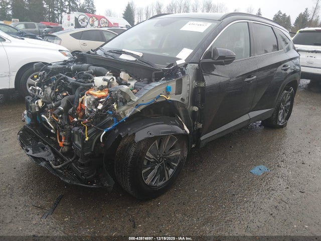 Hyundai Tucson Hybrid Blue 2022 KM8JBCA15NU035992 Image 2