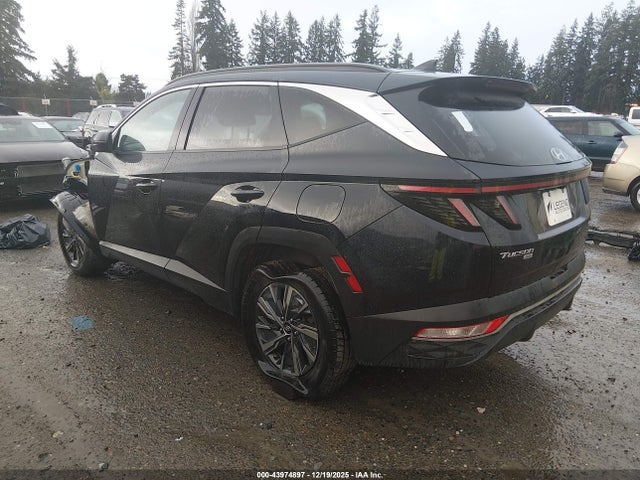 Hyundai Tucson Hybrid Blue 2022 KM8JBCA15NU035992 Image 3