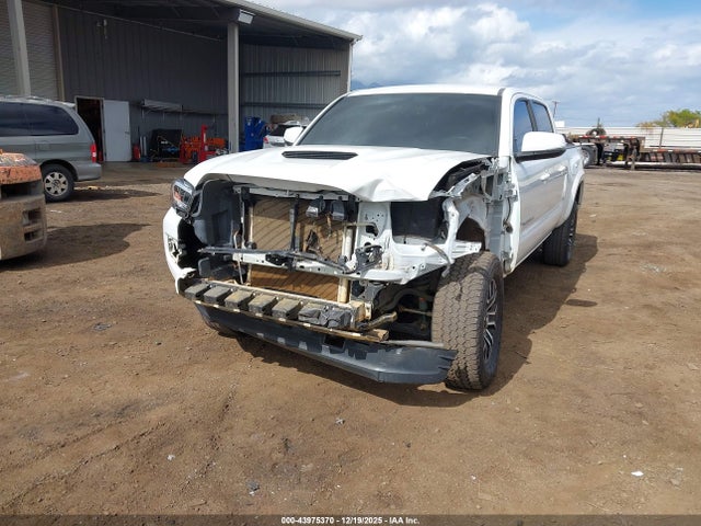 2023 Toyota Tacoma Trd Sport მანქანა იყიდება აუქციონზე, vin: 3TYDZ5BN4PT020437, აუქციონის ნომერი: 43975370