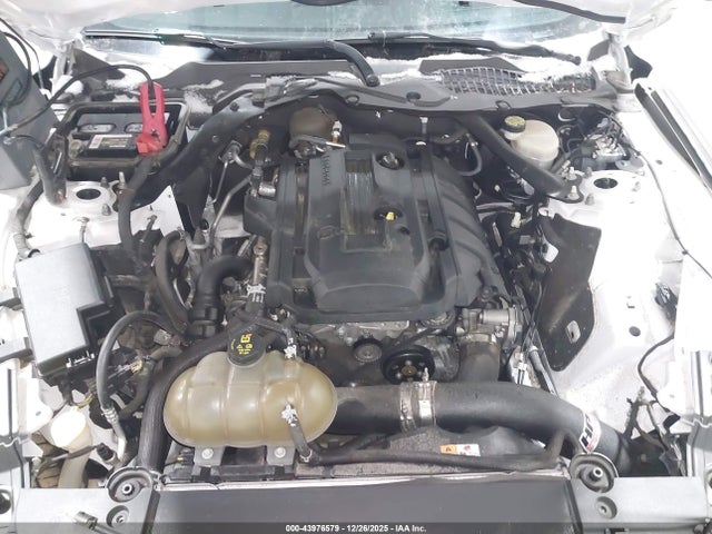 Ford Mustang Ecoboost 2016 1FA6P8TH6G5334042 Image 10