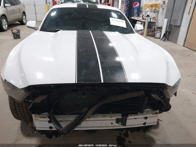 Ford Mustang Ecoboost 2016 1FA6P8TH6G5334042 Image 12