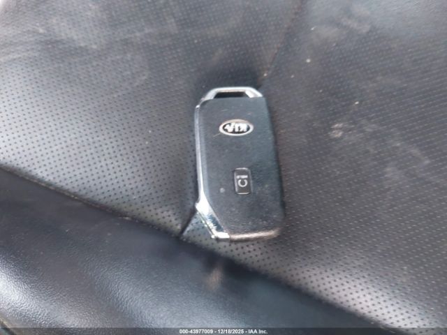 2021 KIA TELLURIDE 5XYP6DHC1MG123888 Photo 10