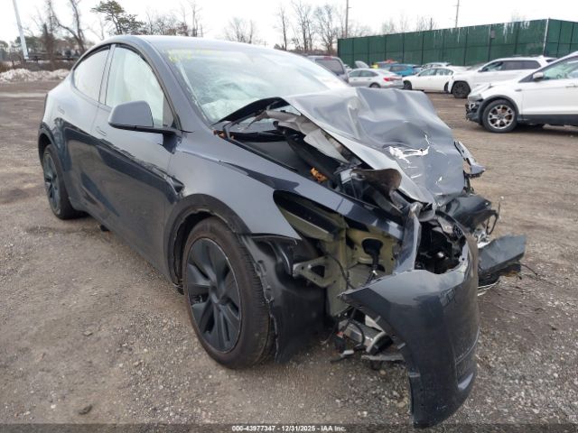 2025 TESLA MODEL Y 7SAYGDED3SA378237