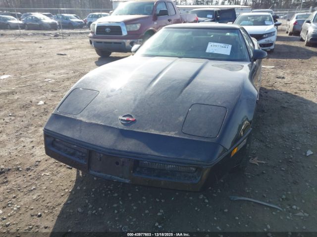 1989 CHEVROLET CORVETTE 1G1YY2185K5114179 Photo 5