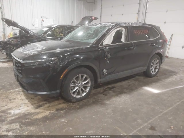 2024 HONDA CR-V 2HKRS4H77RH476272 Photo 1