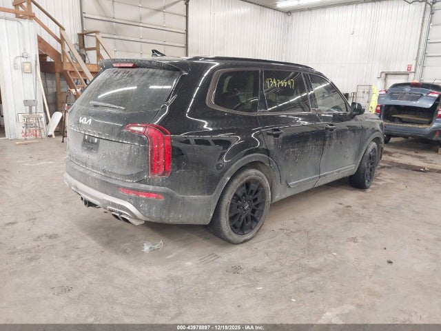2022 KIA TELLURIDE 5XYP3DHC6NG301501 Photo 3