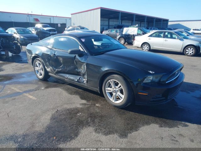 2013 FORD MUSTANG 1ZVBP8AMXD5207425