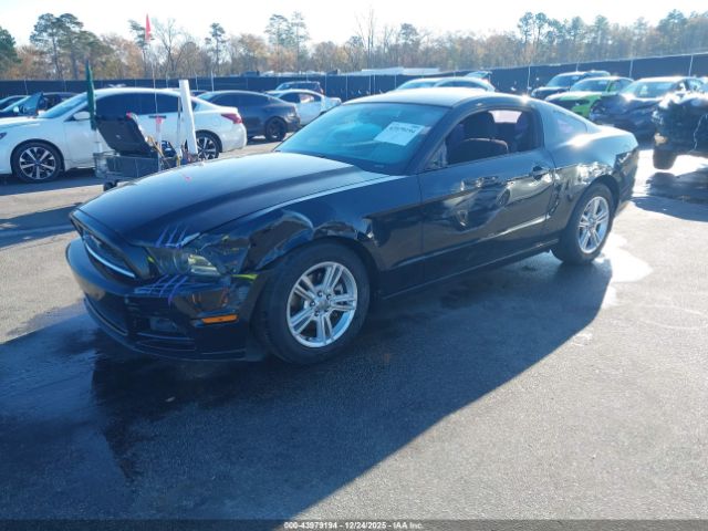2013 FORD MUSTANG 1ZVBP8AMXD5207425 Photo 1