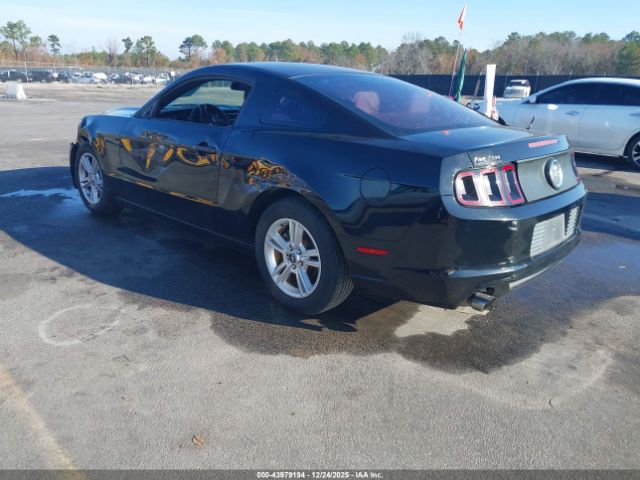 2013 FORD MUSTANG 1ZVBP8AMXD5207425 Photo 2