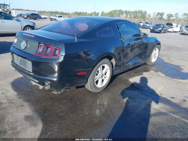 2013 FORD MUSTANG 1ZVBP8AMXD5207425 Photo 3