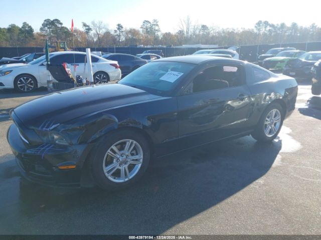 2013 FORD MUSTANG 1ZVBP8AMXD5207425 Photo 5