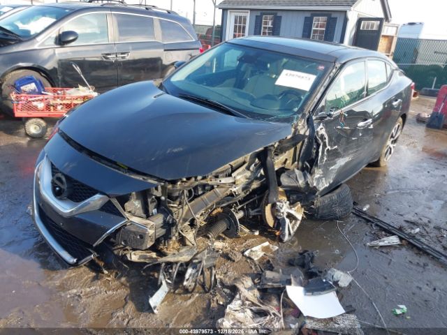 2016 NISSAN MAXIMA 1N4AA6AP6GC905843 Photo 1
