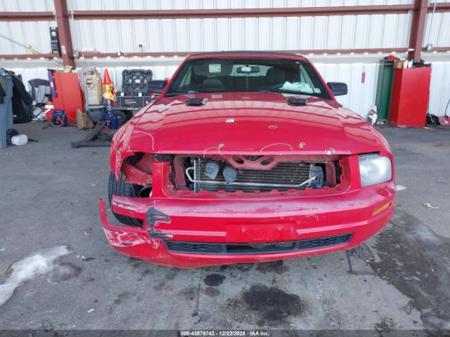 2007 FORD MUSTANG 1ZVFT84N875354817 Photo 5