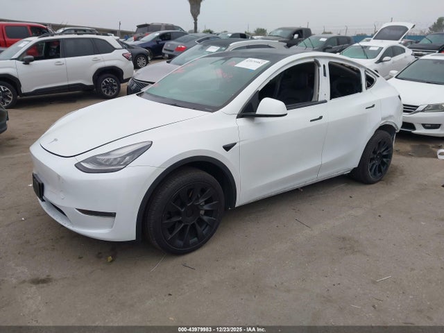 2021 TESLA MODEL Y 5YJYGDEE9MF097412 Photo 1