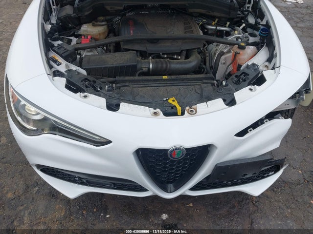 2020 ALFA ROMEO STELVIO ZASPAJAN0L7C75625 Photo 9