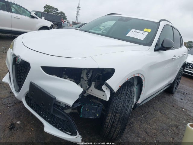 2020 ALFA ROMEO STELVIO ZASPAJAN0L7C75625 Photo 1