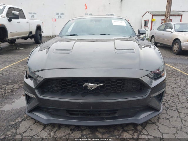 Ford Mustang Ecoboost Fastback 2020 1FA6P8TH1L5183458 Image 12