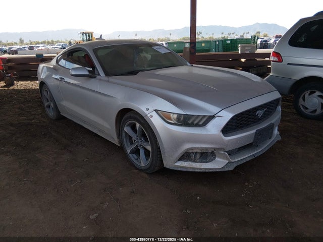 2015 1FA6P8AM3F5339701 главное изображение