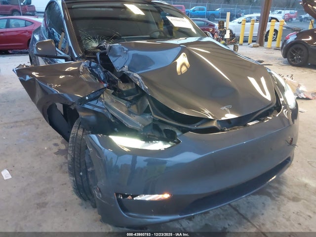 2023 TESLA MODEL Y 7SAYGDEE7PF913251 Photo 5