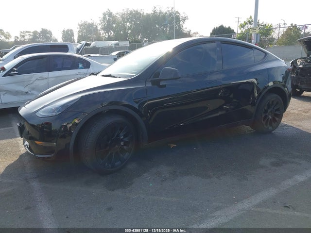 2023 TESLA MODEL Y 7SAYGDEE2PA167143 Photo 1