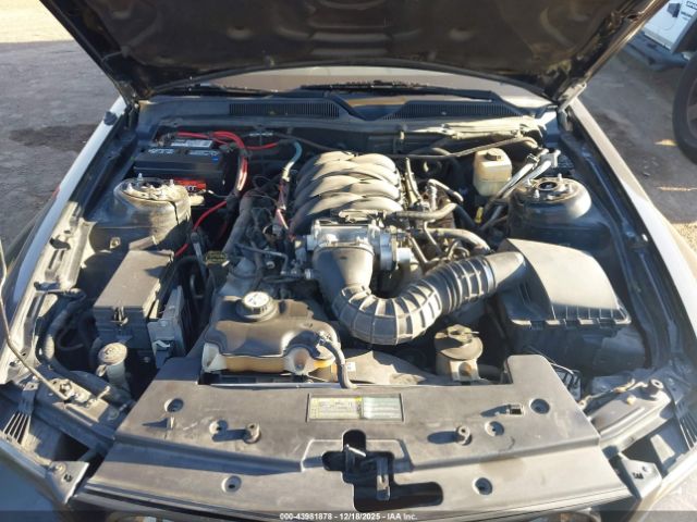 2008 FORD MUSTANG 1ZVHT82H885118269 Photo 9