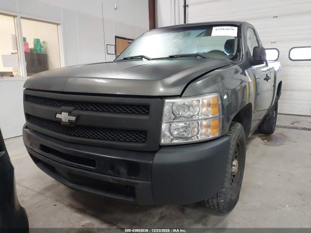 Продаж на аукціоні авто 2011 Chevrolet Silverado 1500 Work Truck, vin: 1GCNCPEA7BZ173469, номер лоту: 43982036