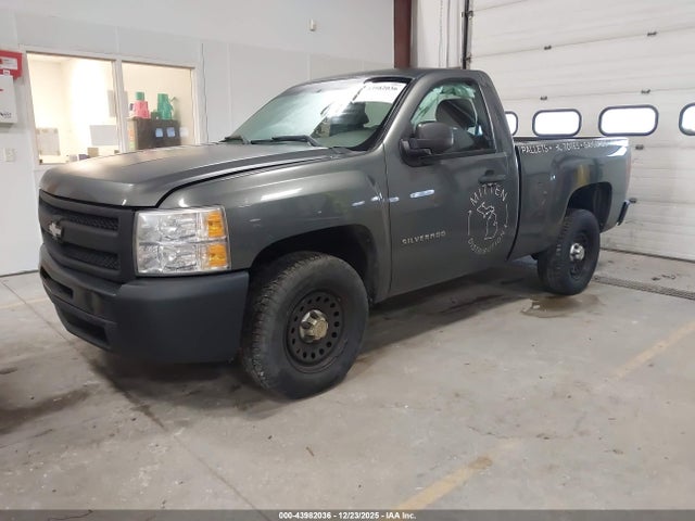 Продаж на аукціоні авто 2011 Chevrolet Silverado 1500 Work Truck, vin: 1GCNCPEA7BZ173469, номер лоту: 43982036