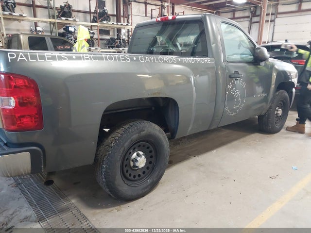 Продаж на аукціоні авто 2011 Chevrolet Silverado 1500 Work Truck, vin: 1GCNCPEA7BZ173469, номер лоту: 43982036