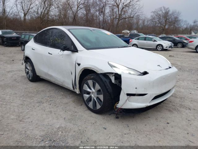 2021 TESLA MODEL Y 5YJYGDEE7MF138667