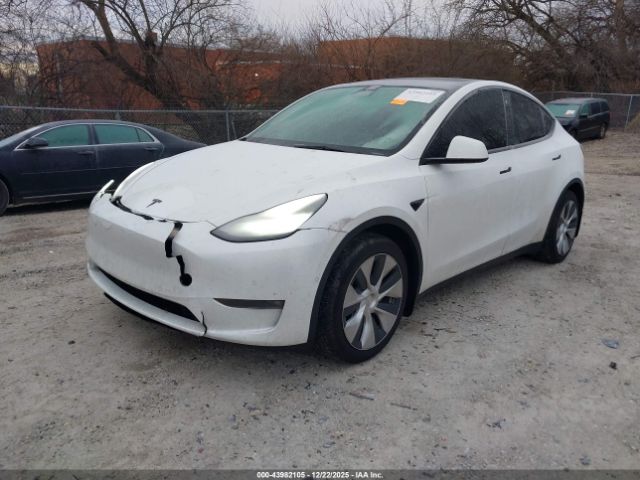 2021 TESLA MODEL Y 5YJYGDEE7MF138667 Photo 1