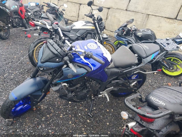 MH3RH20YXPK011993 Yamaha Mt-03