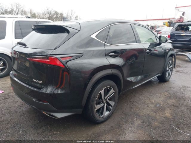 2021 LEXUS NX 300 JTJGARDZ4M2240460 Photo 3
