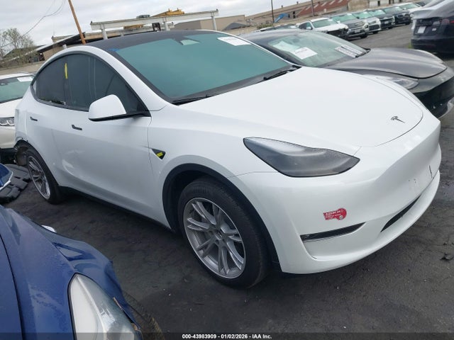 2023 TESLA MODEL Y 7SAYGDED1PF971184 Photo 0
